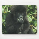 Buscar gorilla alfombrillas de raton Bebé