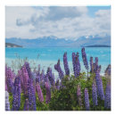 Buscar lavadora posters Naturaleza