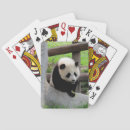 Buscar panda gigante fotografía Naturaleza