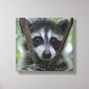 Buscar mapache lienzos Naturaleza