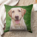 Buscar perro cojines Perros
