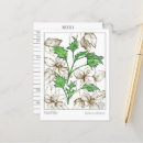 Buscar plantas medicinales postales Para todos