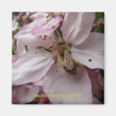 Buscar abeja imanes Polen