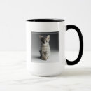 Buscar tabby azul tazas Gatito