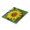 Buscar gato amarillo azulejos General y unisex