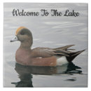 Buscar duck azulejos Vida silvestre