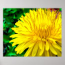 Buscar buenos días posters Verde