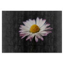 Buscar margaritas amarillas tablas cortar Blanco