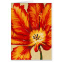 Buscar parrot Tropical