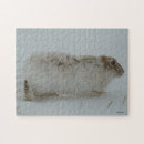 Buscar liebres puzzles Para todos