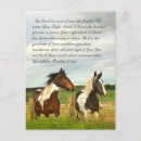 Buscar caballos hermosos postales Azul