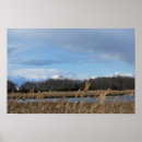 Buscar refugio posters Paisaje acuático