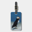 Buscar atlántico etiquetas para maletas Isla de selva machias