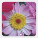 Buscar flor amarilla pegatinas General y unisex