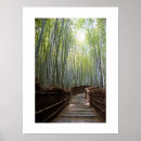 Buscar bosque de bambú posters Japón