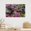 Buscar paisaje natural posters Plantas