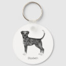 Buscar perro boxer llaveros Canino