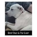 Buscar perros posters Para él