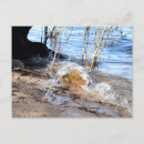 Buscar rompeolas postales Playa