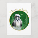 Buscar perro de crisantemo Shih