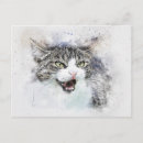 Buscar gato enojado postales 9 º gata