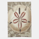 Buscar costera cocina paños de cocina Conchas