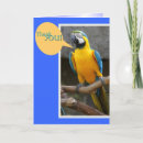 Buscar loro azul tarjetas Diversión