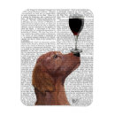 Buscar setter imanes Wine