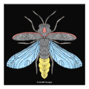Buscar luciérnagas posters General y unisex