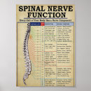 Buscar columna vertebral posters Médica