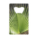 Buscar palma abrebotellas Hoja