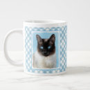 Buscar gato siamés tazas Gatito