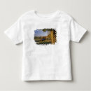 Buscar woodstock camisetas Naturaleza