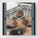 Buscar del gato relojes de pared General y unisex