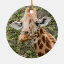 Buscar giraffe adornos Vida silvestre