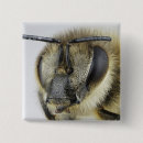 Buscar invertebrados chapas Animales