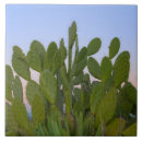 Buscar áfrica azulejos Cactus