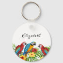 Buscar loros llaveros Tropical