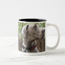Buscar great dane tazas Al aire libre