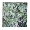 Buscar fern azulejos Naturaleza