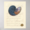 Buscar seashell arte Ocean