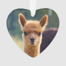 Buscar alpaca adornos Adorable