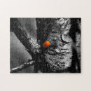 Buscar de la mariquita puzzles Insecto