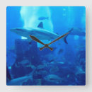 Buscar shark relojes de pared Sea