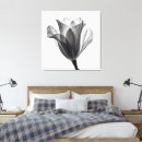 Buscar tulipanes blancos lienzos Botánico