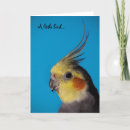 Buscar cockatiel tarjetas Amarillo