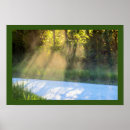 Buscar arbolado posters Naturaleza