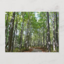 Buscar arbolado postales General y unisex