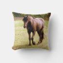 Buscar caballos hermosos cojines Amante de los caballos