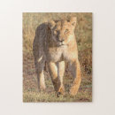 Buscar áfrica puzzles Leona